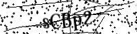 Bitte geben Sie die Buchstaben und Zahlen ein